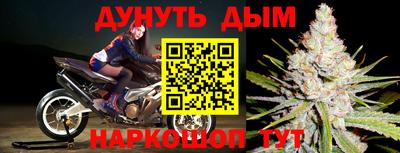 СК Шебекино