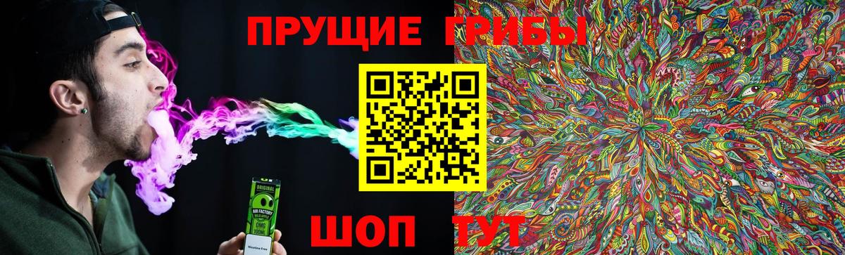 Галлюциногенные грибы прущие грибы Кировск